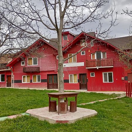Pensiunea Irina Zarnesti 3-1990 Exterior foto