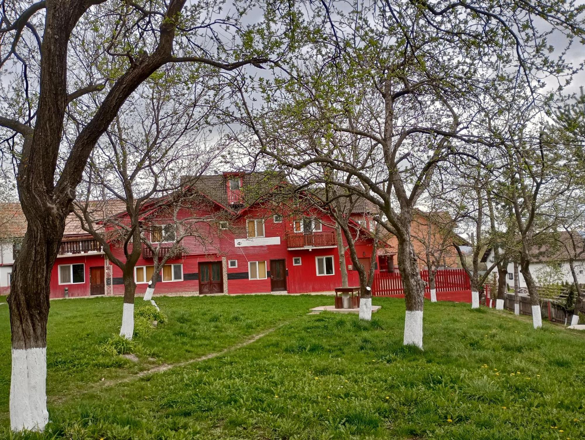 Pensiunea Irina Zarnesti 3-1990 Exterior foto